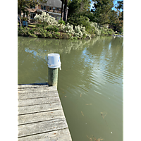 King tide image